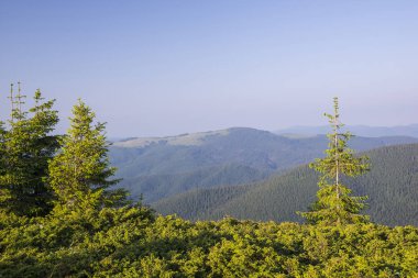 Karpat Dağları manzarası