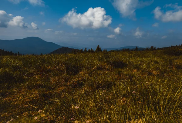 Carpathian mountains landscape — Stock Photo, Image