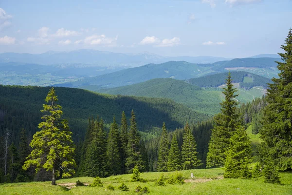 Schilderachtig landschap van de Karpaten — Stockfoto