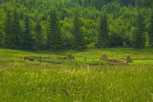 Malebná krajina Karpatské — Stock fotografie