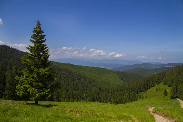 Güzel Karpat manzara — Stok fotoğraf