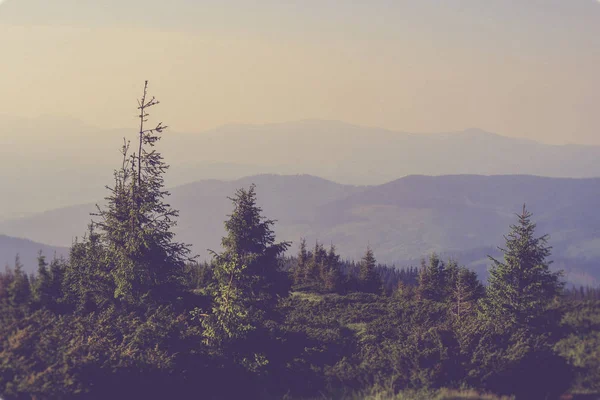 Carpathian mountains landscape — Stock Photo, Image