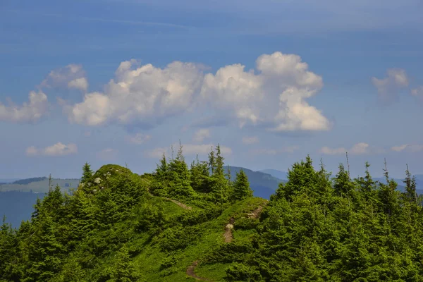 Malowniczy krajobraz karpacki — Zdjęcie stockowe