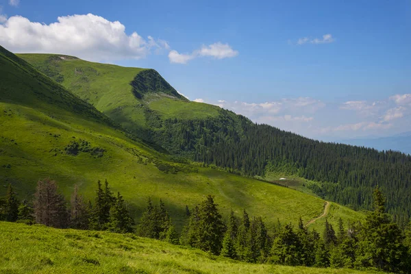 Carpazi montagne paesaggio — Foto Stock