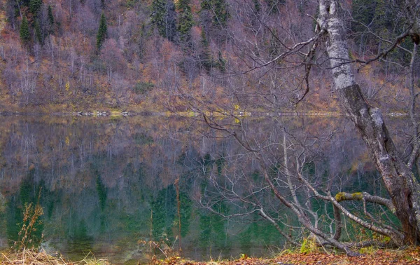 Осень в горах, Кавказ — стоковое фото