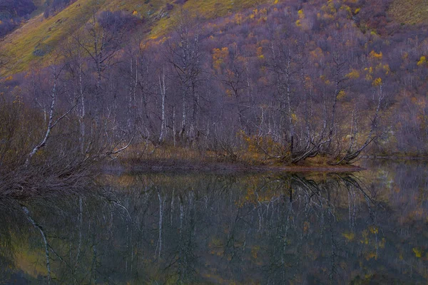 Herbst in den Bergen, Kaukasus — Stockfoto