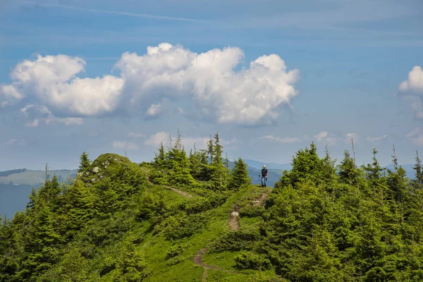 Paesaggio dei monti Carpazi in estate — Foto Stock