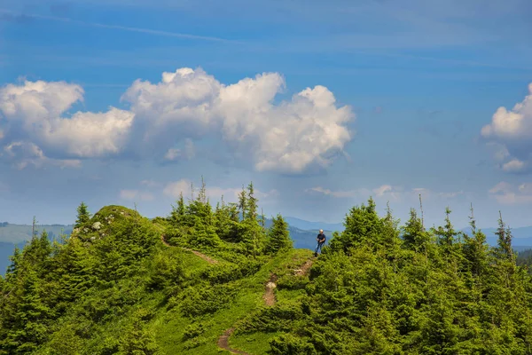 Karpaten-Landschaft im Sommer — Stockfoto