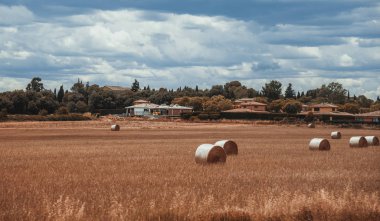 Alan yuvarlak saman balya ile İspanya