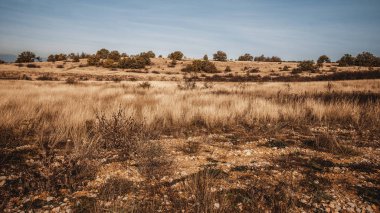 Steppe Kırım manzarası