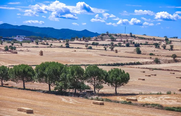 Campo em Espanha com fardos de palha — Fotografia de Stock