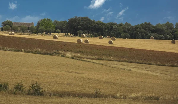 Поле в Испании с круглыми тюками соломы — стоковое фото
