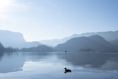 Slovenya, Avrupa 'daki Bled Gölü