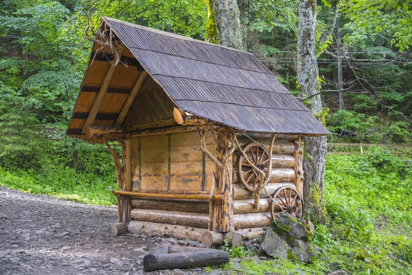 Ліс Карпат влітку. — стокове фото