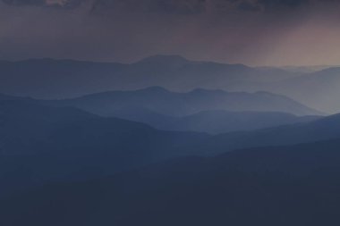 Yazın Karpat Ormanı