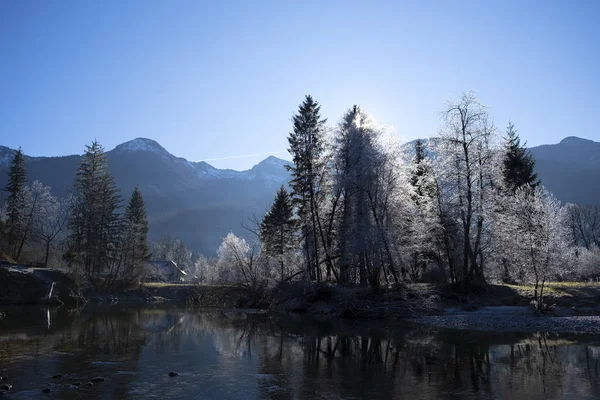 山の中で冬の朝。スロベニア — ストック写真