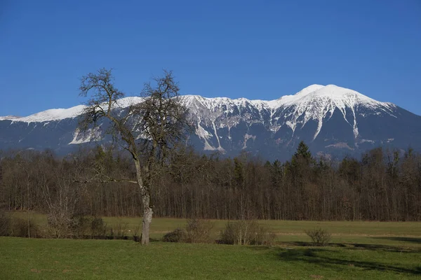 Mattina in montagna. Slovenia — Foto Stock