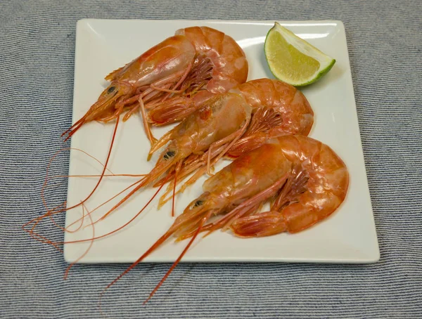 Camarones grandes en un plato con una rodaja de lima —  Fotos de Stock