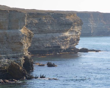 Tarkhankut Yarımadası, Crimea