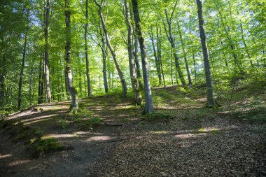 Wejherowo 'daki güzel park.