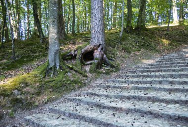Wejherowo 'da park et.