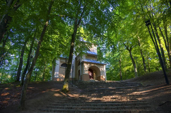 Park in Wejherowo — Stockfoto