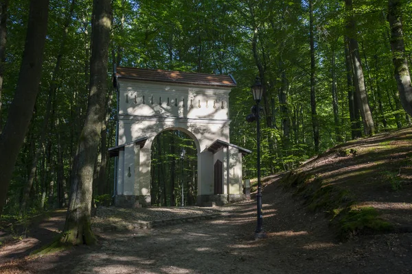 Prachtig park in Wejherowo — Stockfoto