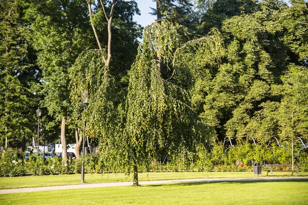 Parque en Wejherowo — Foto de Stock