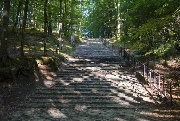 Park in wejherowo — Stockfoto