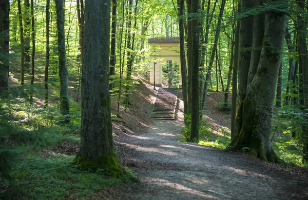 Park in wejherowo — Stockfoto