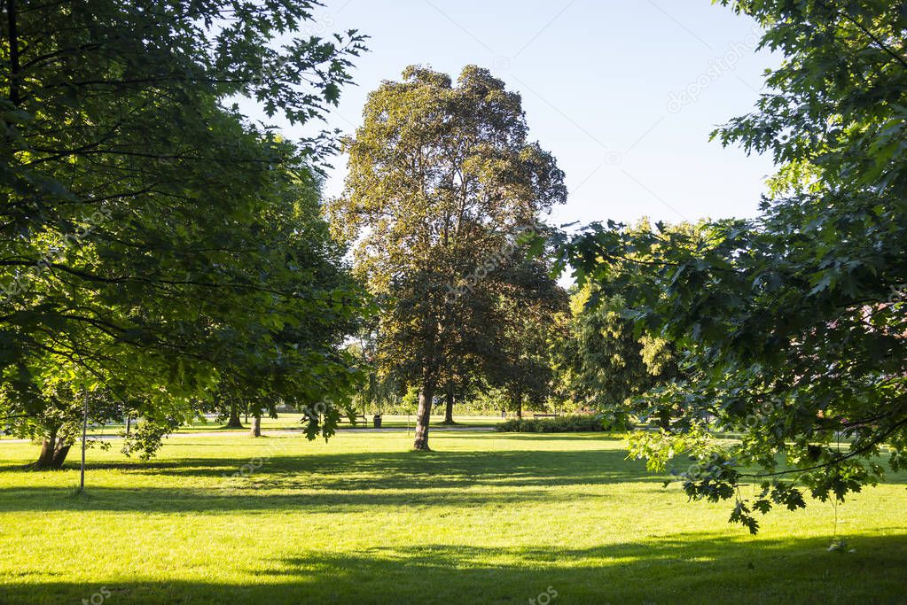 Park in Wejherowo