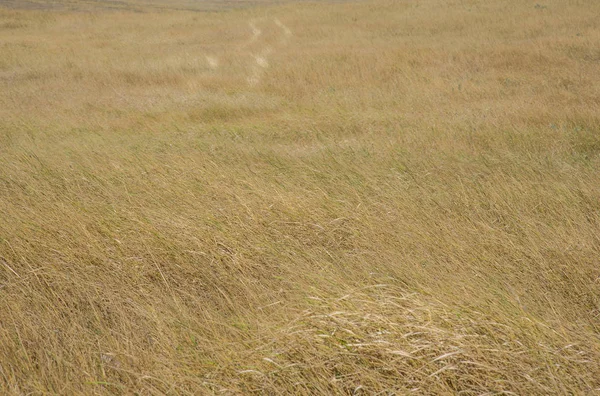 Crimean landscape in the fall — Stock Photo, Image