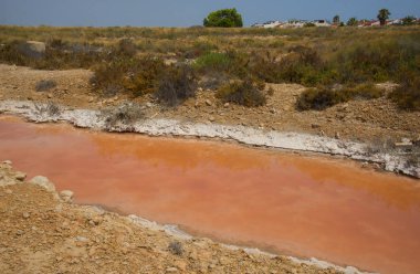 Torrevieja 'da pembe tuz gölü. Alicante ili, İspanya