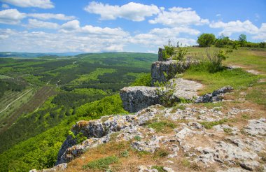 Güneşli bir yaz gününde güzel dağ manzarası, Kırım.