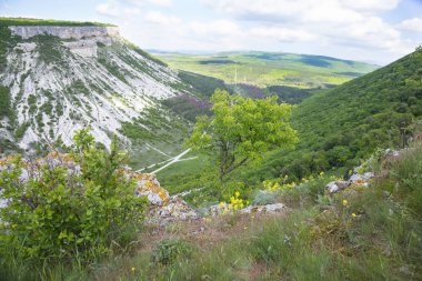 Güneşli bir yaz gününde dağ. Chufut-Kale, Kırım manzarası