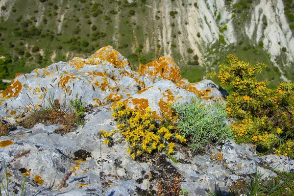 Paisaje Crimea Vista Desde Chufut Kale — Foto de Stock