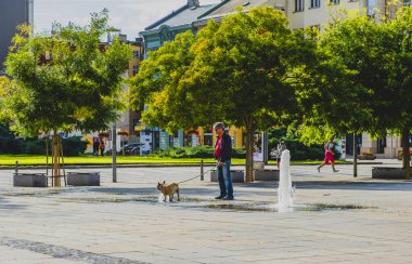 OSTRAVA / CZECH REPUBLIC - SEPTEMBER 29, 2019: A man with a dog in the Central square of Ostrava city - Masaryk Square