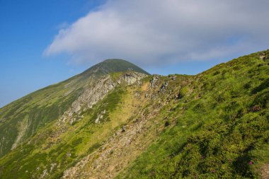 Karpat dağlarında yaz manzarası