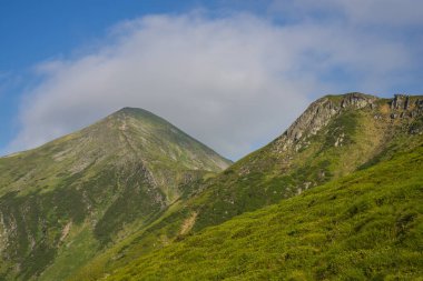 Karpat dağlarında yaz manzarası. Hoverla Dağı Görünümü
