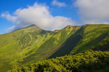 Karpat dağlarında yaz manzarası