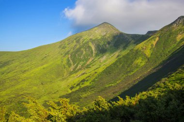 Karpat dağlarında yaz manzarası