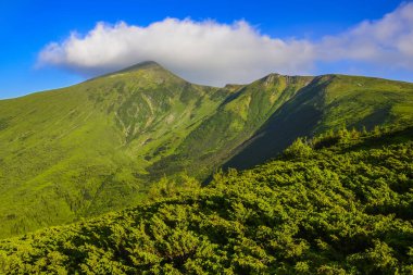 Karpatya dağlarındaki güzel manzaranın panoramik görüntüsü