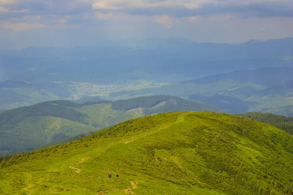 Paesaggio Estivo Colorato Nelle Montagne Dei Carpazi — Foto Stock