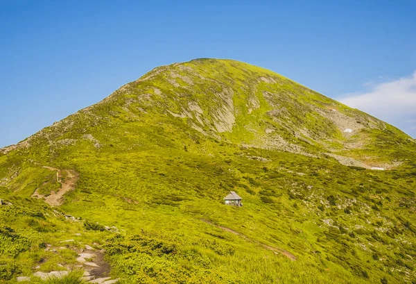 Bunte Sommerlandschaft Den Karpaten Blick Auf Den Berg Hoverla — Stockfoto