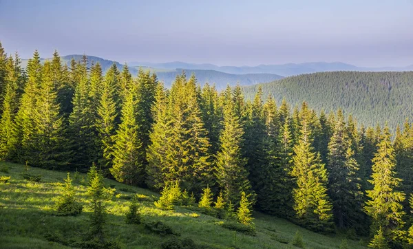 Barevné Letní Krajina Karpatských Horách — Stock fotografie