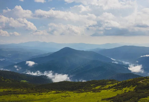 Karpat Dağları Ndaki Renkli Yaz Manzarası Petros Dağı Görünümü — Stok fotoğraf