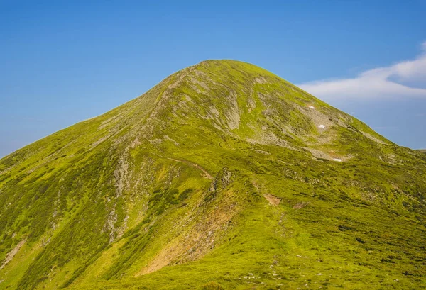 Kolorowy Letni Krajobraz Karpatach Widok Górę Hoverla — Zdjęcie stockowe