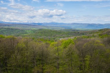 Aygea 'da bahar manzarası, Rus