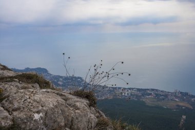 Kırım 'daki Ai-Petri dağından Yalta şehrinin manzarası