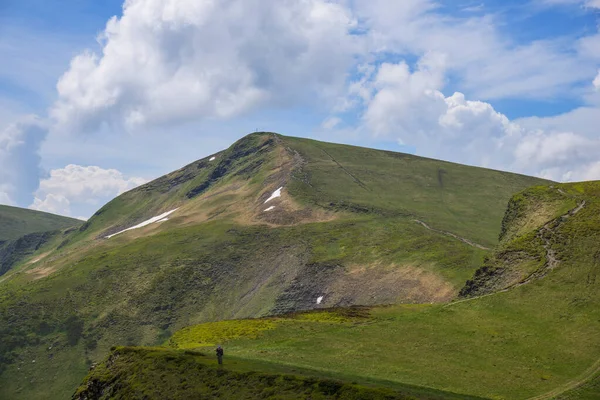 Sommerlandschaft Den Karpaten Blick Auf Den Bliznica Berg — Stockfoto